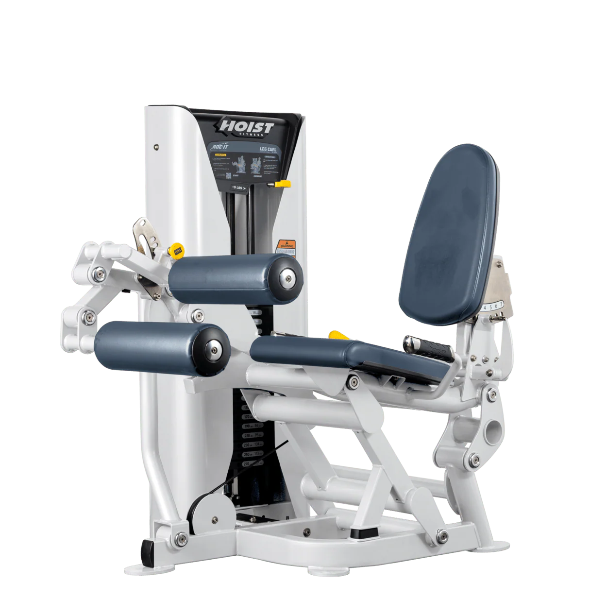 Leg Curl - Image 45
