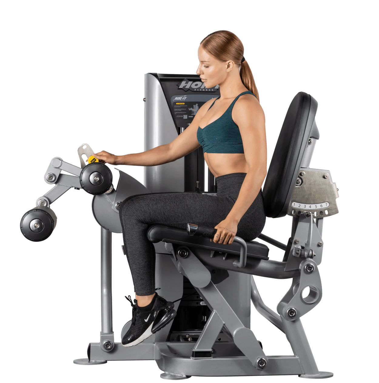Leg Curl - Image 5