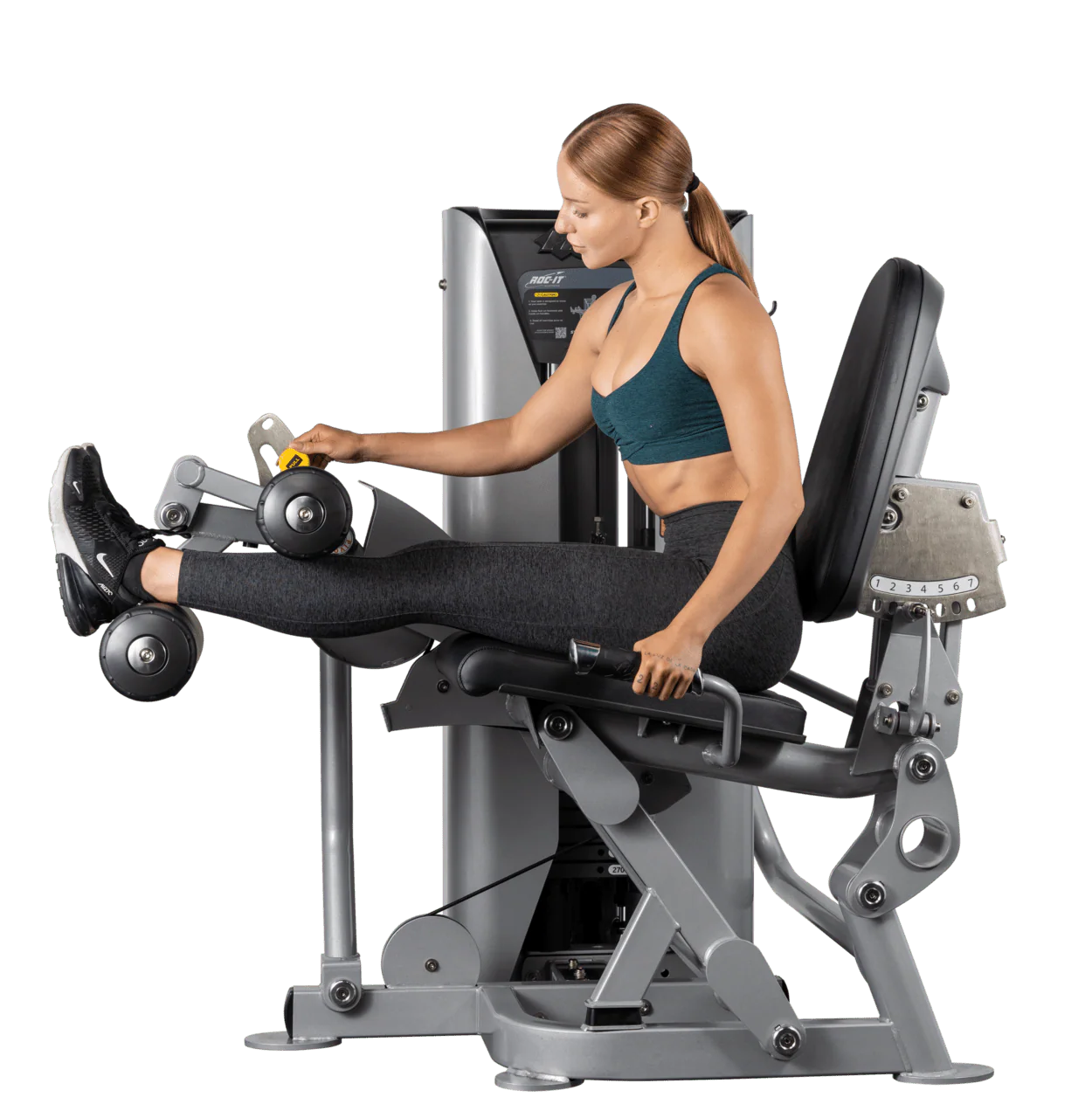 Leg Curl - Image 8