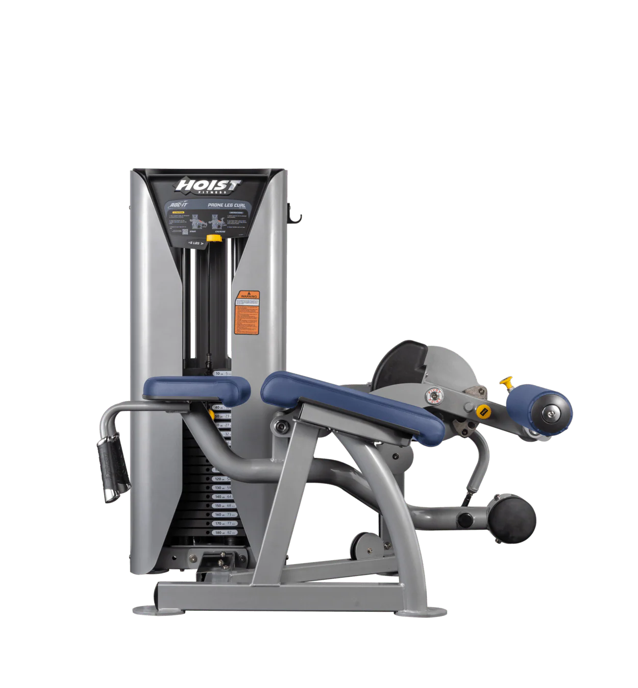Prone Leg Curl - Image 53