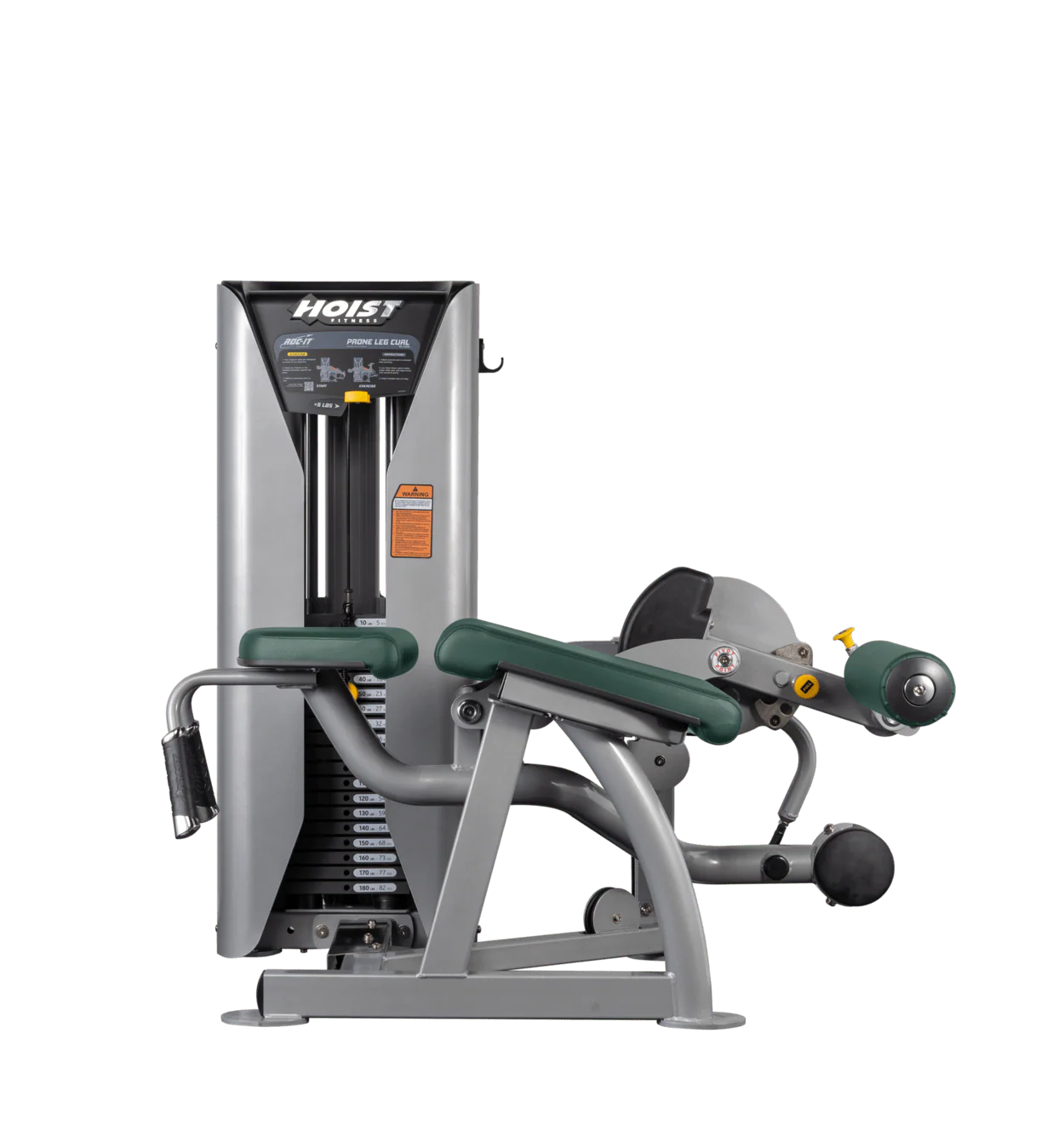 Prone Leg Curl - Image 55