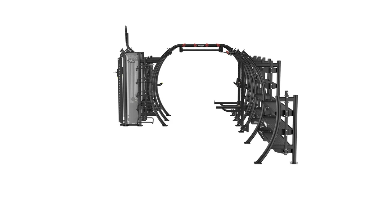 SEVEN ELEMENT FUNCTIONAL BRIDGE - Image 4