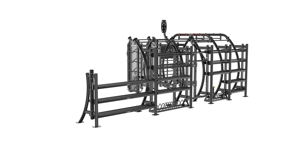 SEVEN ELEMENT FUNCTIONAL BRIDGE - Image 7